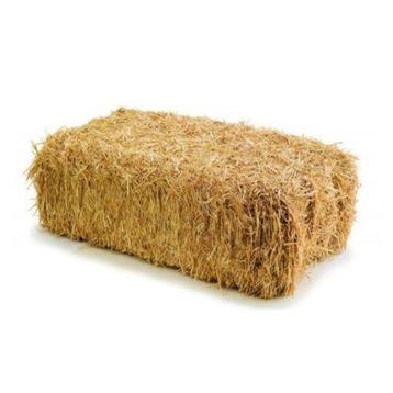 6 kleine strobalen beschikbaar voor biedingen