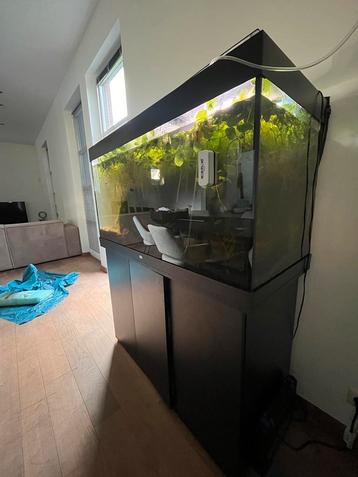 Juwel Rio 350 & 2x Oase Biomaster Thermo 600 & Sansibar Dark beschikbaar voor biedingen