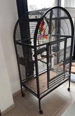 Cage pour perroquet en très bonne état, Ophalen, Zo goed als nieuw