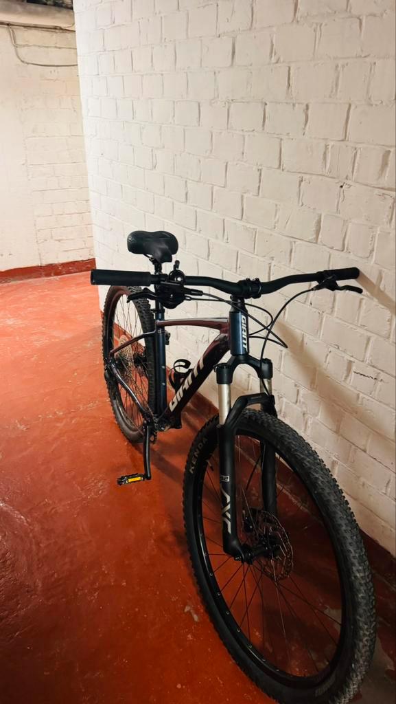 Fiets professional, Fietsen en Brommers, Fietsen | Heren | Herenfietsen, Zo goed als nieuw, Giant, Ophalen