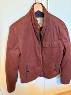 Winterjas, heren, kleur bordeaux, maat L, Ophalen of Verzenden, Zo goed als nieuw