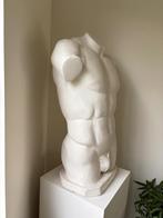 Beeld buste torso man plaaster, Ophalen