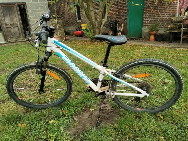 Mtb 24 inch serious cycles Germany, Fietsen en Brommers, Fietsen | Crossfietsen en BMX, Gebruikt, Ophalen
