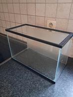 Glazen (vis)bak, Dieren en Toebehoren, Vissen | Aquaria en Toebehoren, Ophalen
