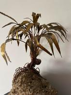 Groot lot bomen en wandsculpturen daniel d’haeseleer, Antiek en Kunst, Ophalen of Verzenden