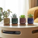 Succulente Plantenpot Set van 6 GRATIS LEVERING, Tuin en Terras, Bloempotten, Overige materialen, Verzenden, Rond, Nieuw