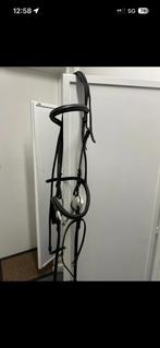 Hoofdstel qhp, Dieren en Toebehoren, Ophalen, Gebruikt, Overige soorten