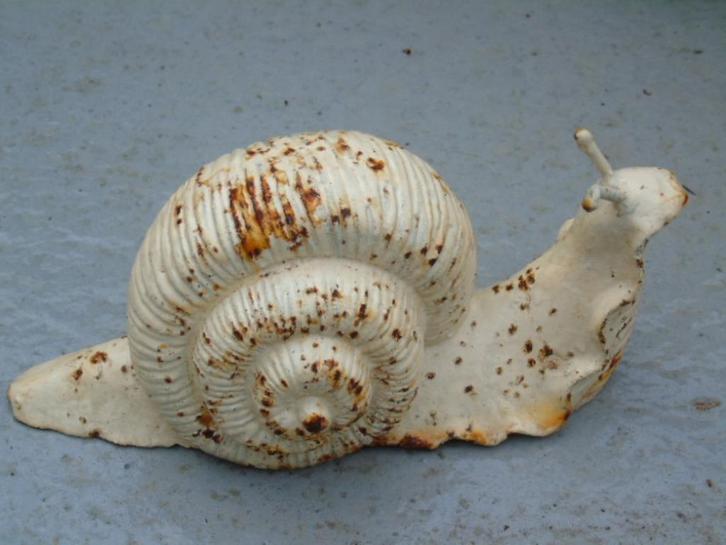 grote slak in roestig wit gepatineerd gietijzer.., Tuin en Terras, Tuinbeelden, Nieuw, Dierenbeeld, Metaal, Ophalen