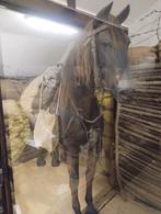 MANEQUIN CHEVAL   (seul), Enlèvement ou Envoi, Autres, Autres types