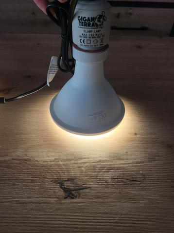 Clamp lampe pour ampoule E27 (gros soquet)  disponible aux enchères