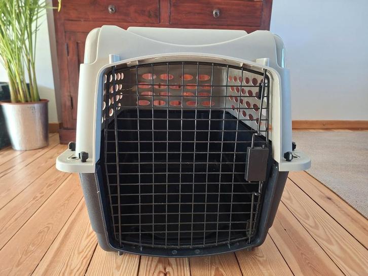 Cage de transport chat/chien, Dieren en Toebehoren, Transportboxen, Gebruikt, Ophalen
