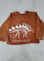 Longsleeve Dino H & M maat 98 - 104, Kinderen en Baby's, Kinderkleding | Maat 98, Ophalen of Verzenden, Zo goed als nieuw, Shirt of Longsleeve