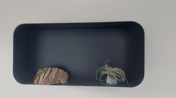 Wandplank sealskin 2x beschikbaar voor biedingen