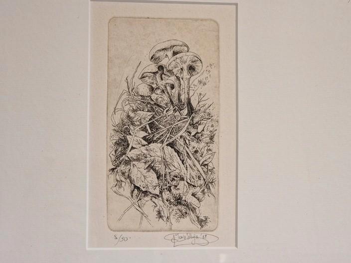 Joris Thijs (ets, 1989), Antiek en Kunst, Kunst | Etsen en Gravures, Ophalen