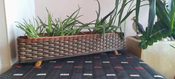 Jardinière en rotin, bois et bambou vintage
