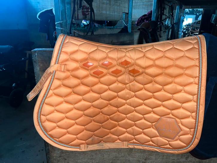 Affaires d’équitation diverse, Animaux & Accessoires, Chevaux & Poneys | Autres trucs de cheval, Enlèvement ou Envoi