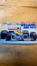 Ongebouwd williams judd fw12, Hobby en Vrije tijd, Modelbouw | Auto's en Voertuigen, Ophalen of Verzenden, Zo goed als nieuw, Auto