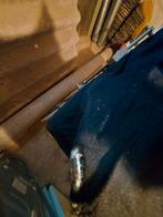 Landau ancien, Enlèvement