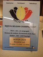 spitsstaartamadine, Mâle, Oiseau tropical