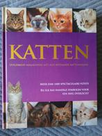 Katten uitgebreid naslagwerk, Livres, Animaux & Animaux domestiques, Chats, Envoi, Neuf