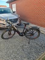 Koga pace b20. 2022., Enlèvement