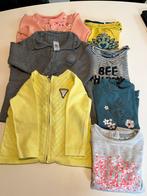 Gilets + longsleeves 80, Ophalen of Verzenden, Zo goed als nieuw