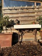 Decoratie buiten, Antiek en Kunst, Curiosa en Brocante, Ophalen