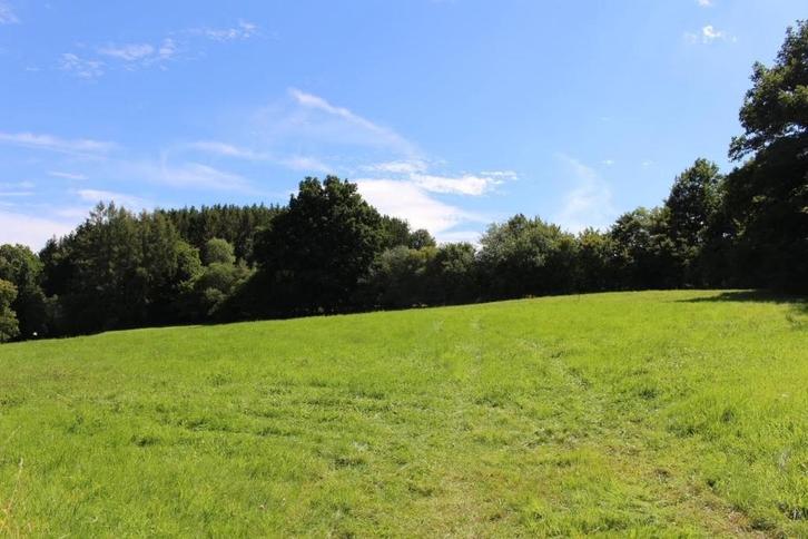 Bouwgrond + landbouw, Immo, Gronden en Bouwgronden, 1500 m² of meer