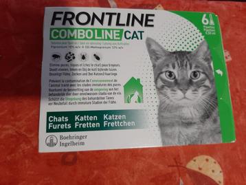 kat beschikbaar voor biedingen