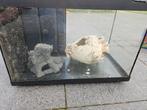 Moet weg! Aquarium 60l met veel accessoires, Dieren en Toebehoren, Ophalen, Zo goed als nieuw