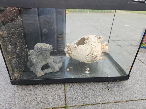 Moet weg! Aquarium 60l met veel accessoires, Dieren en Toebehoren, Vissen | Aquaria en Toebehoren, Zo goed als nieuw, Ophalen