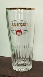 Bier brouwerij glas Demets Lauwe Luxor geribd, Verzamelen, Ophalen of Verzenden