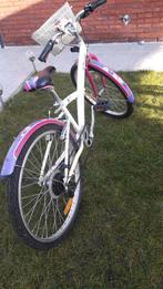 Vélo pour fille, Enlèvement