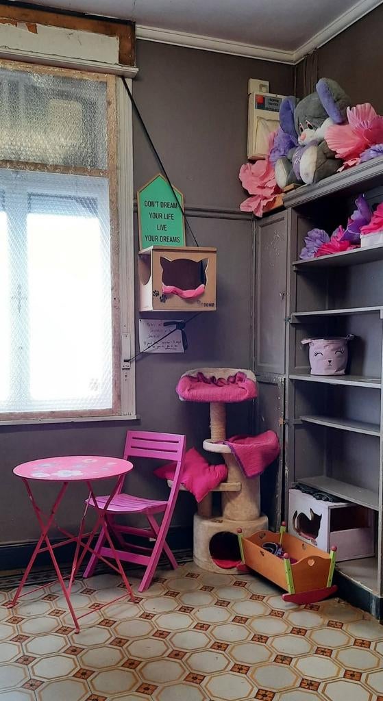 Mug Tintin jamais utilisé.  Ce mug de collection fait partie, Enlèvement ou Envoi, Tintin