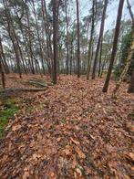 Bosgrond te koop 0032 0497 06 03 04