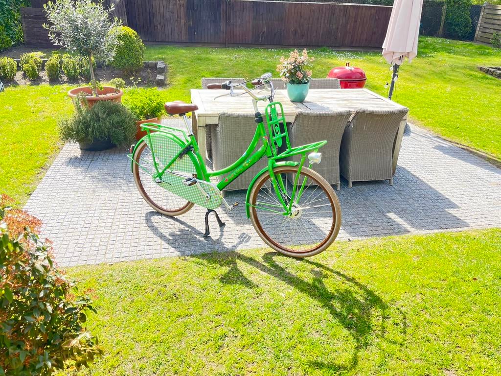 Zeer plezante en kwaliteits damesfiets LIEF , special editie, Ophalen, Zo goed als nieuw