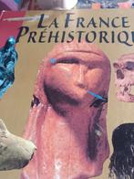Livre sur la France préhistorique, Livres, Encyclopédies, Enlèvement, Utilisé, Général, Tome à part