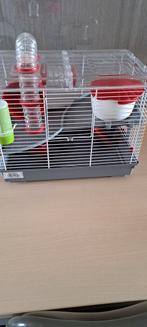 Cage à hamster avec tous les accessoires, Animaux & Accessoires, Enlèvement