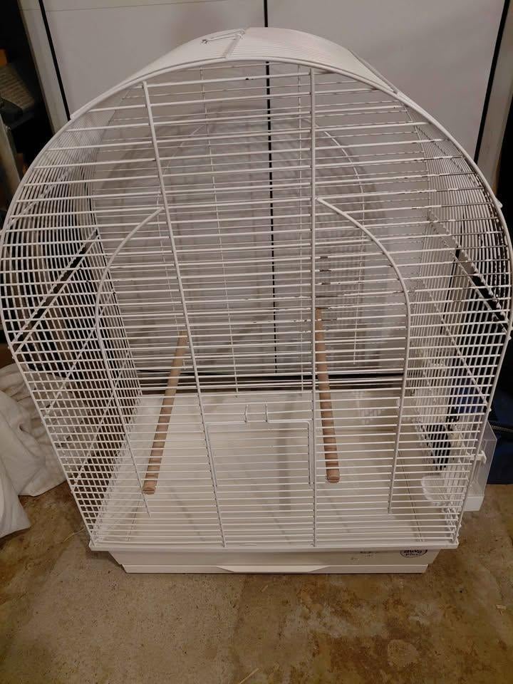 Une cage a oiseaux, Enlèvement, Comme neuf, Cage à oiseaux