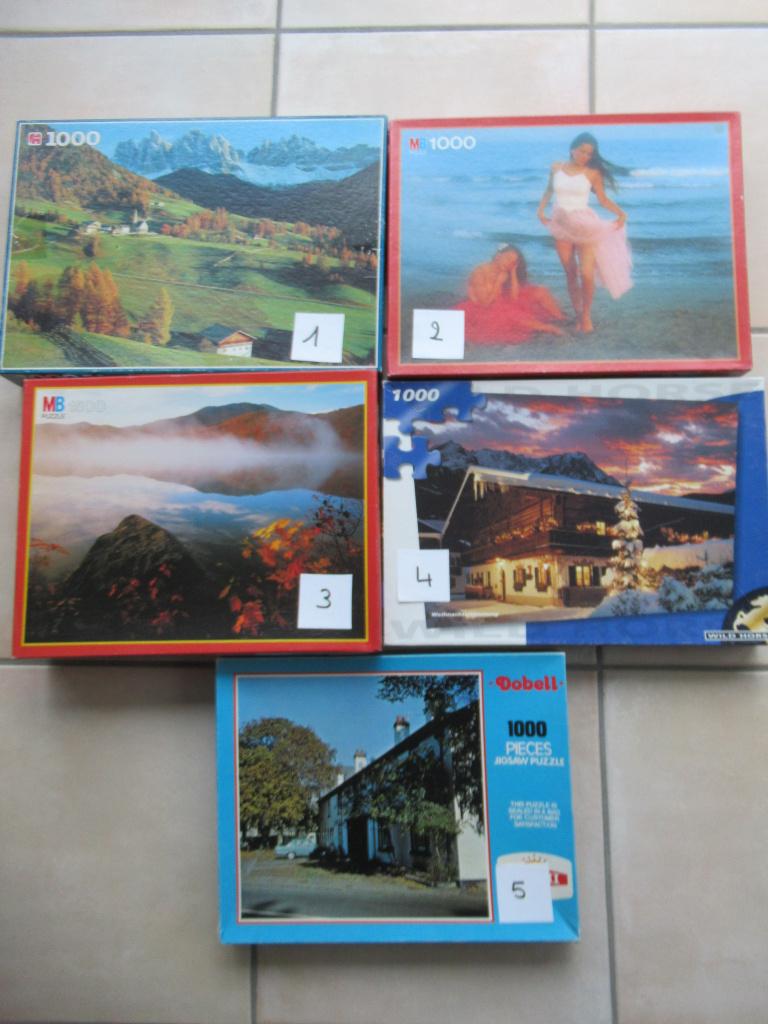 5 volledige wat oudere puzzels, zijn prima in orde, Hobby & Loisirs créatifs, Sport cérébral & Puzzles, Enlèvement, 500 à 1500 pièces