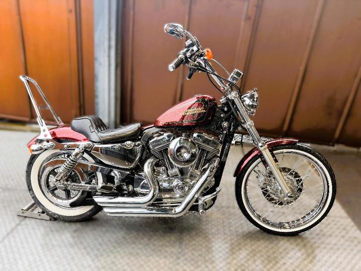 sportster 72 2014 20190km garantie 1.2.3ans jhbmotos, Motos, Motos | Harley-Davidson, Entreprise, Chopper, plus de 35 kW, 2 cylindres