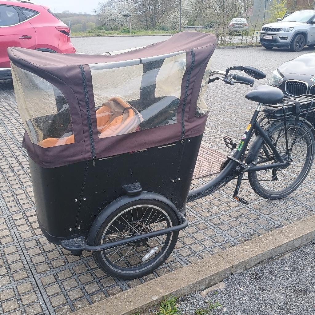Vélo cargo électrique tricycle, Vélos & Vélomoteurs, Vélos électriques, Autres marques, 51 à 55 cm, Enlèvement, Utilisé
