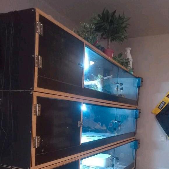 2x terrarium betonplex 1.60lang 60 diep 35 hoog 700euro, Dieren en Toebehoren, Reptielen en Amfibieën | Toebehoren, Zo goed als nieuw