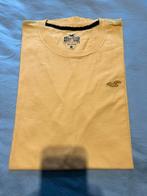 T shirt Heren.Hollister.M, Vêtements | Hommes, T-shirts, Enlèvement ou Envoi, Neuf, Taille 48/50 (M), Jaune