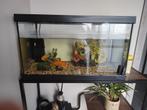 3 goudvissen met aquarium en decoratie, Dieren en Toebehoren, Ophalen