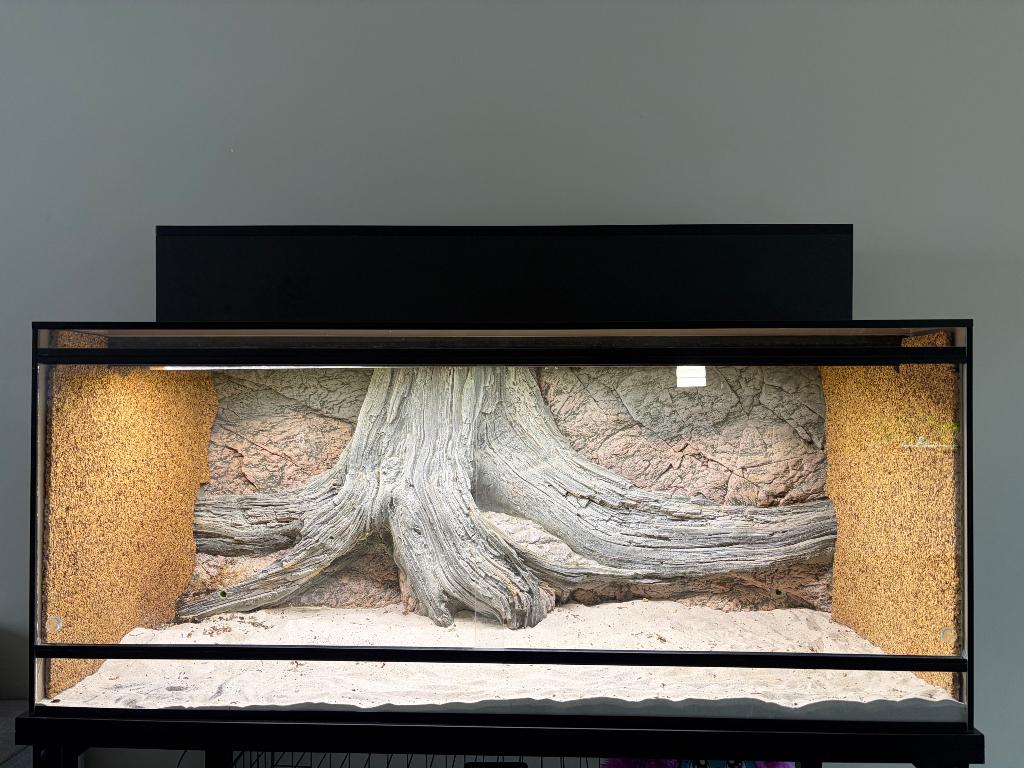 Terrarium, Dieren en Toebehoren, Reptielen en Amfibieën | Toebehoren, Gebruikt, Terrarium of Paludarium, Ophalen