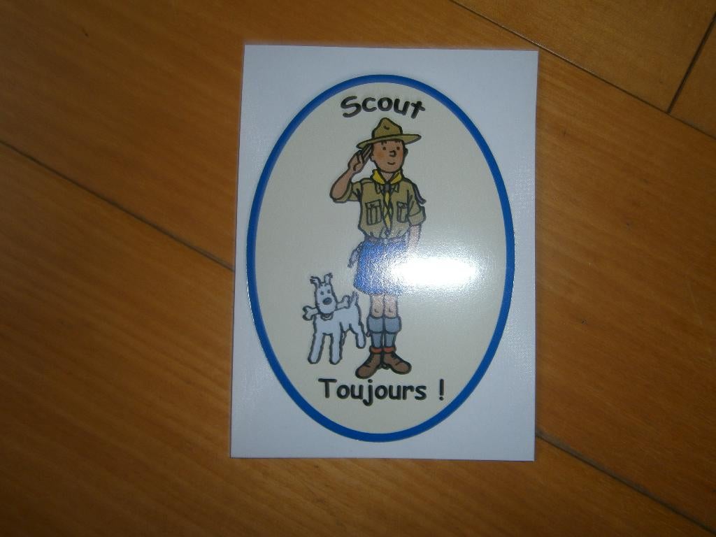 TINTIN, Collections, Envoi, Tintin