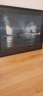 poster, Ophalen, Zo goed als nieuw, Rechthoekig Liggend, Dier of Natuur