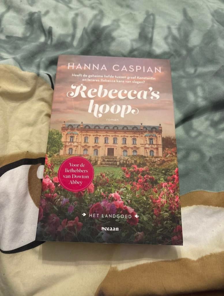 Rebeccas hoop, Livres, Romans historiques, Enlèvement ou Envoi, Comme neuf