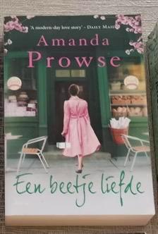 Een beetje liefde, Boeken, Chicklit, Zo goed als nieuw, Ophalen of Verzenden